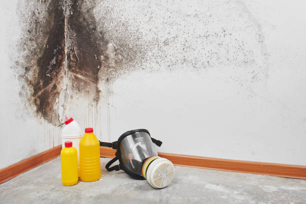 Mold Remediation for Rental Properties in Grafton, ND